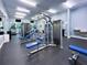 Well-equipped fitness center with modern machines and ample space for a complete workout at 32825 Sand Creek Dr, Wesley Chapel, FL 33543