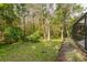 Green backyard with lush trees, showcasing the serene and natural surroundings of the property at 5619 Essex Ct, Palm Harbor, FL 34685