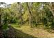 Lush backyard with mature trees, providing a private and serene outdoor living space at 5619 Essex Ct, Palm Harbor, FL 34685