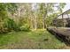 A secluded backyard abuts dense, natural woods and a pool at 5619 Essex Ct, Palm Harbor, FL 34685