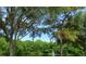 Scenic water view featuring a fountain and lush greenery, providing a relaxing atmosphere at 5619 Essex Ct, Palm Harbor, FL 34685