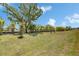 Expansive backyard featuring mature trees, lush green grass, and well-maintained landscaping in a serene setting at 6532 Simone Shores Cir, Apollo Beach, FL 33572
