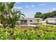 Landscaped home with tropical plants, fresh mulch, and an inviting walkway at 807 Illinois Ave, Palm Harbor, FL 34683