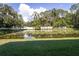 Scenic backyard pond with lush greenery and a peaceful atmosphere at 8415 Edgewater Place Blvd, Tampa, FL 33615