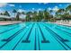 Large community pool featuring clear blue water, marked lanes, and tropical landscaping under a bright, partly cloudy sky at 10516 Gretna Green Dr, Tampa, FL 33626