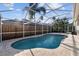 Enclosed pool view showing stone patio and tropical landscaping at 10516 Gretna Green Dr, Tampa, FL 33626