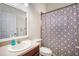 Standard bathroom with a single sink vanity, toilet, and shower with patterned curtain at 10709 Rockledge View Dr, Riverview, FL 33579