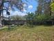 Backyard with grass, various plants, a basketball hoop, and a fence in the background at 10932 N 21St St, Tampa, FL 33612