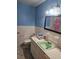 Bathroom with a green sink, mirror, and blue accents at 10932 N 21St St, Tampa, FL 33612