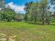 Spacious green backyard with mature trees, offering ample space for outdoor activities and relaxing in nature at 11912 Mcmullen Loop, Riverview, FL 33569