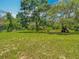 Lush green backyard with large trees providing ample shade, perfect for outdoor gatherings and relaxation at 11912 Mcmullen Loop, Riverview, FL 33569