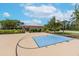 Community basketball court on a sunny day at 13903 Sage Thrasher Ln, Riverview, FL 33579
