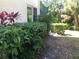 Green backyard with various plants and a small window at 14840 Shipwatch Trce # 1924, Largo, FL 33774