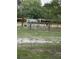 Horses graze peacefully in a fenced pasture, enjoying the natural surroundings of the property at 15625 Olney Ln, Spring Hill, FL 34610
