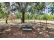 Shaded picnic table surrounded by trees and natural beauty, ideal for outdoor dining and relaxation at 15625 Olney Ln, Spring Hill, FL 34610