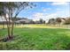 Lush backyard with green grass, a tree and black metal fence at 16016 Persimmon Grove Dr, Lithia, FL 33547