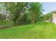 Lush backyard featuring vibrant green grass, mature trees, and a chain link fence at 20403 Sultana Ct, Tampa, FL 33647