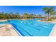 Large community lap pool with lane markers, lounge seating, tropical landscaping, and a clubhouse at 20403 Sultana Ct, Tampa, FL 33647