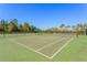 Tennis court with green surface, white lines, net, and an awning with tropical landscaping surrounding at 20403 Sultana Ct, Tampa, FL 33647