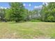 Expansive green backyard with mature trees in the background, creating a serene setting at 2205 Henley Rd, Lutz, FL 33558