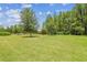 Lush backyard with expansive green space and mature trees offers room to roam at 2205 Henley Rd, Lutz, FL 33558