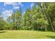 Expansive green backyard with mature trees offers privacy and serenity at 2205 Henley Rd, Lutz, FL 33558