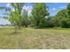 Spacious backyard offering a mix of open lawn and mature trees, with road visible at the property line at 2205 Henley Rd, Lutz, FL 33558