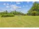 Large, well-maintained backyard with lush green grass, perfect for outdoor activities and relaxation at 2205 Henley Rd, Lutz, FL 33558
