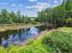 Scenic pond surrounded by lush greenery, creating a peaceful natural retreat at 2205 Henley Rd, Lutz, FL 33558