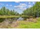 Picturesque pond reflecting sky and surrounded by lush vegetation, peaceful view at 2205 Henley Rd, Lutz, FL 33558