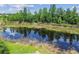 Picturesque pond reflecting the sky, surrounded by lush greenery and lily pads on a sunny day at 2205 Henley Rd, Lutz, FL 33558