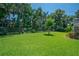 Lush backyard with a privacy hedge and large shade trees at 2417 Valrico Forest Dr, Valrico, FL 33594