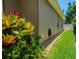 Landscaped side yard of the home, with tropical foliage and well-kept lawn at 2417 Valrico Forest Dr, Valrico, FL 33594