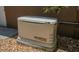 Close up of a Generac generator used to provide auxiliary power to the home at 2417 Valrico Forest Dr, Valrico, FL 33594