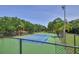 Exterior view of a fenced community tennis court surrounded by lush mature trees at 2690 Coral Landings Blvd # 217, Palm Harbor, FL 34684