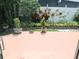 Back patio featuring a variety of plants and greenery; ready to be enjoyed at 3010 Grand View Ave, Clearwater, FL 33759