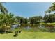 Scenic backyard view with lush lawn and tranquil lake, perfect for relaxation at 3010 Grand View Ave, Clearwater, FL 33759