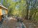 Backyard view with overgrown bamboo and damaged deck at 32348 Marchmont Cir, Dade City, FL 33523