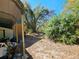 Exterior view of the yard with trees and bushes and a shed roof in the corner at 32348 Marchmont Cir, Dade City, FL 33523