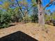 Spacious backyard with mature trees providing lots of shade at 32348 Marchmont Cir, Dade City, FL 33523