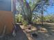 Side yard with mature trees, offering shade and privacy to the property at 32348 Marchmont Cir, Dade City, FL 33523