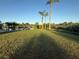 Green backyard lawn with lakefront views and mature palm trees at 3338 Fernleaf Dr, Hernando Beach, FL 34607