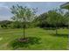 A view of the open green backyard with lush green grass and privacy landscaping at 34652 Heavenly Ln, Dade City, FL 33525