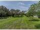 A scenic backyard view featuring mature trees and lush green grass extending into a greenbelt at 34652 Heavenly Ln, Dade City, FL 33525