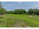 Expansive backyard with lush green grass offering serene views and a sense of privacy at 34652 Heavenly Ln, Dade City, FL 33525
