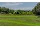 Lush greenbelt view, offering privacy and a picturesque natural backdrop at 34652 Heavenly Ln, Dade City, FL 33525