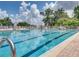 Resort-style swimming pool with lounge chairs, umbrellas, and serene views at 34652 Heavenly Ln, Dade City, FL 33525