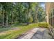Spacious backyard with a variety of trees and greenery and a concrete patio at 3512 Tealwood Cir, Palm Harbor, FL 34685