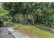 Private backyard showcasing mature trees and a serene setting, ideal for nature lovers at 3512 Tealwood Cir, Palm Harbor, FL 34685