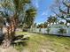 Expansive backyard featuring a white fence, lush palm trees, and well-maintained lawn at 440 89Th Ave, St Pete Beach, FL 33706